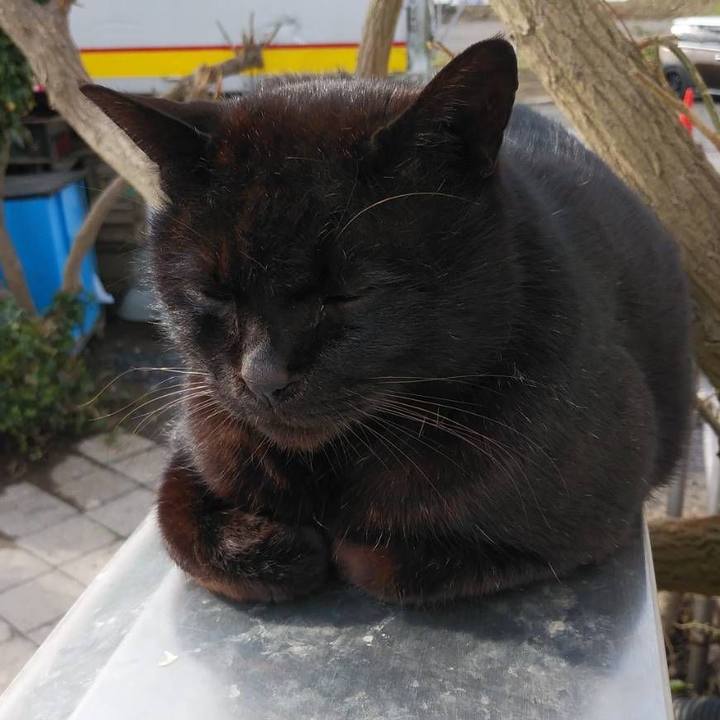 D2e05e0b 9034 48b4 b24d fc8658386ca6 1584060829292