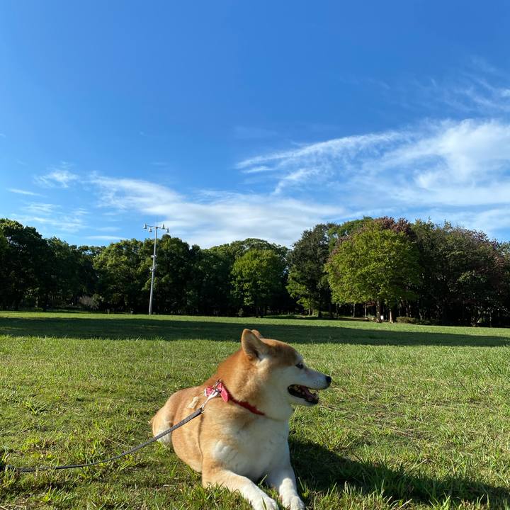 D2e05e0c 799f 4196 b1ff 5d9f11078fc3 1602033931727