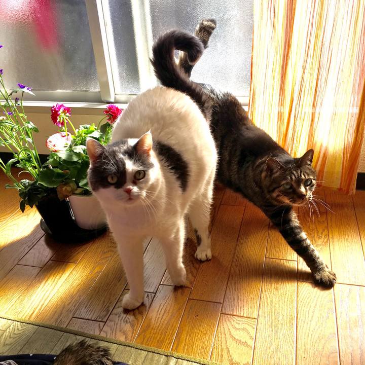 D2e08df7 adb2 4758 9a5b e98940dcb825 1523167918157