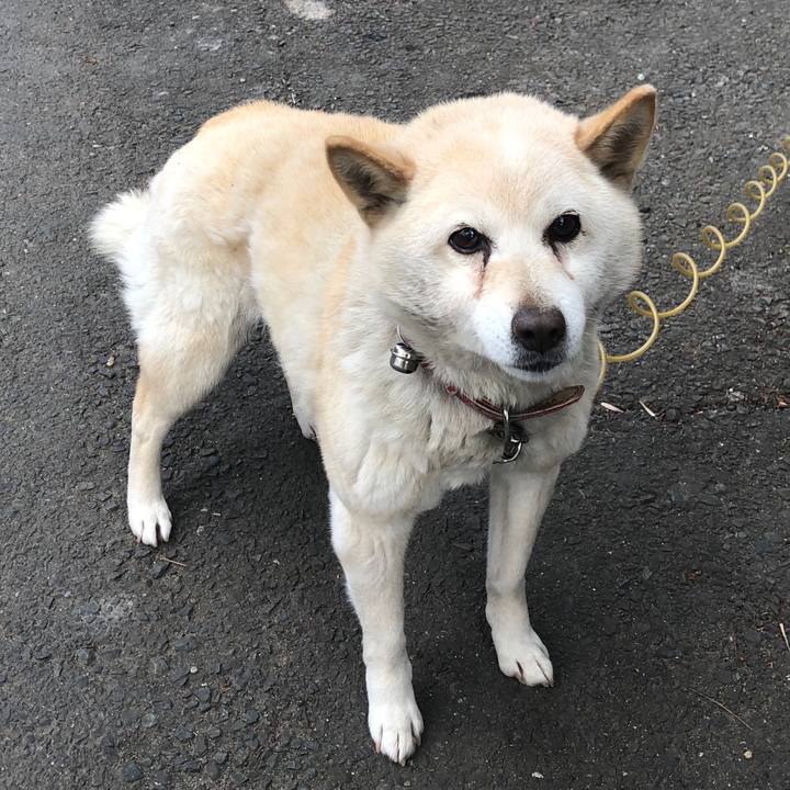 D2e0b74b 4e05 477b 8cd6 c90ad4b0f6e7 1549021968796