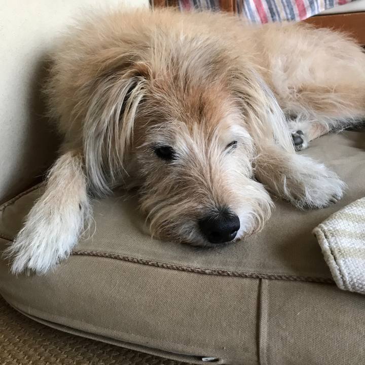 D2e0bc7d 1424 42da bb9f 403d738b7a07 1574762823103