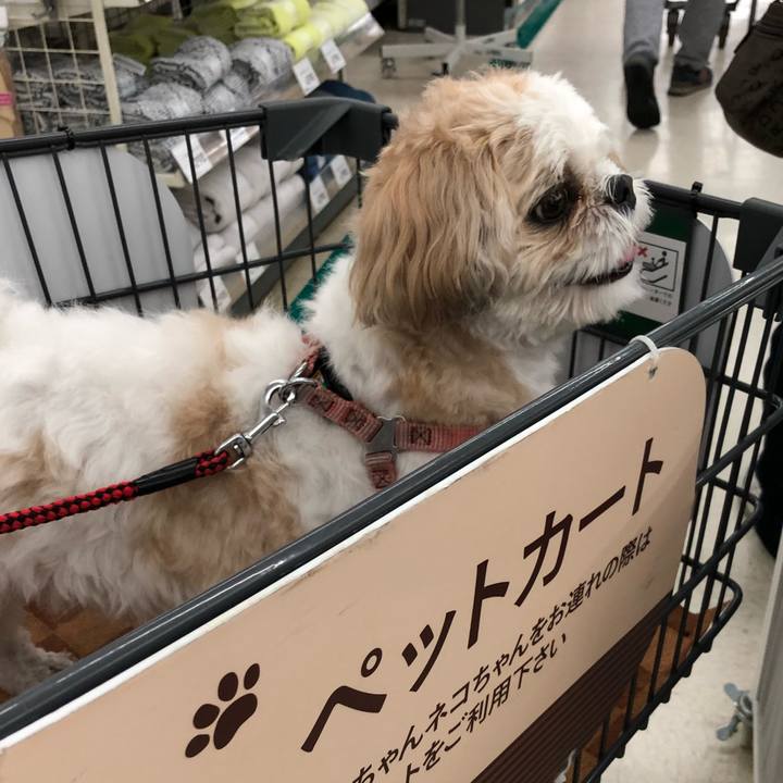 D2e0df5a 56dd 4fcf bb22 1fa187263689 1536529159419