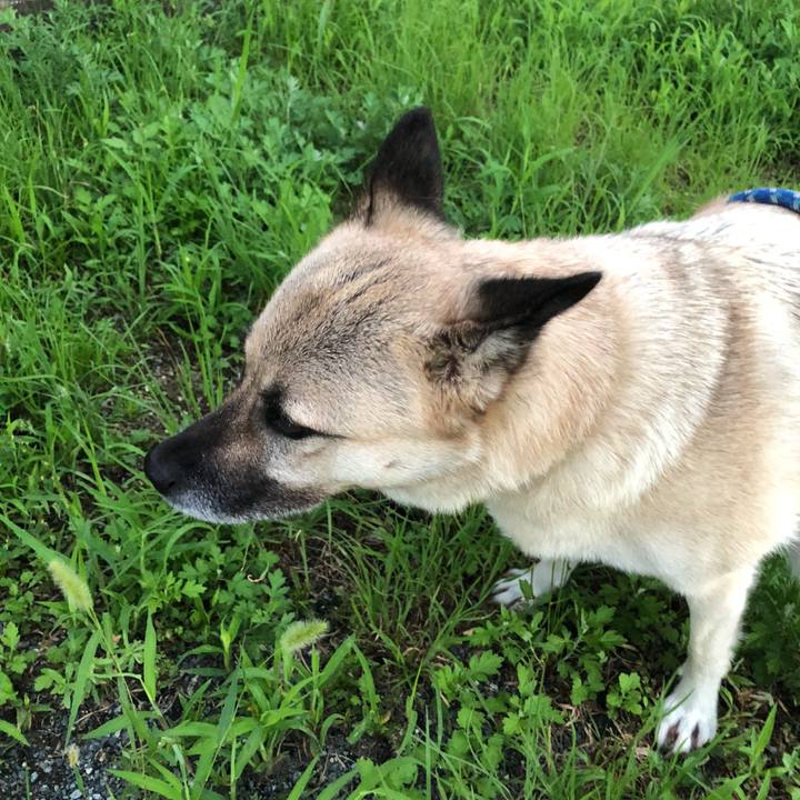 D2e0ed6d 783c 4de4 8b2d 29a9ac1df870 1629979151852