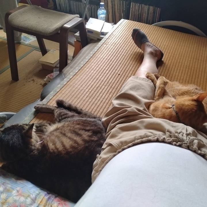 D2e128a6 53f4 4165 a04d e2fa9706aebf 1720581555315