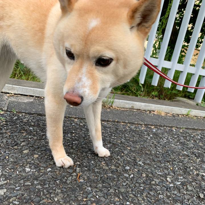 D2e183dc db22 4ec1 926e 78cd3b2ae44f 1652221277826