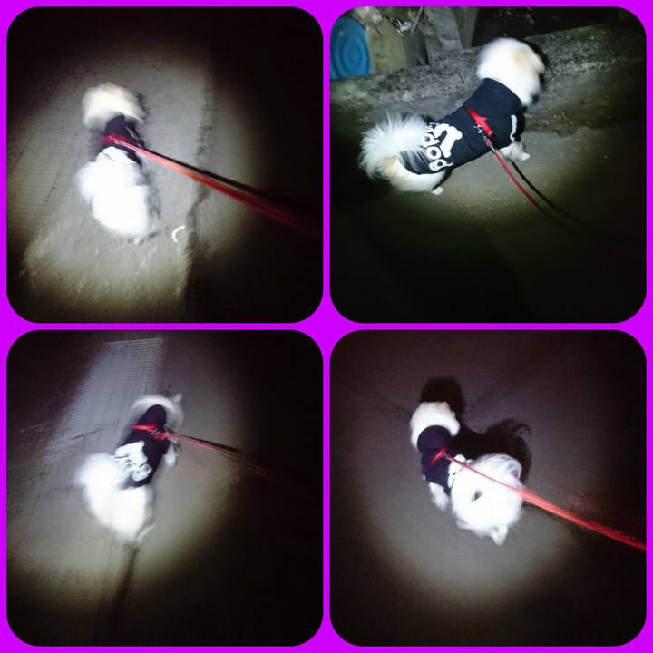 D2e19807 f251 442d b43f 792e11f7748a 1513370417278