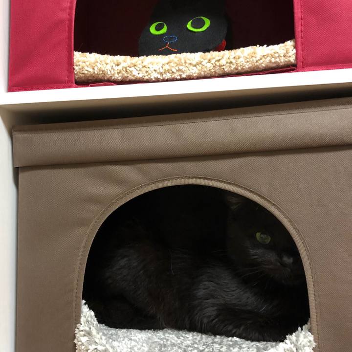 D2e1b0ab c7f3 41db 8e33 ad622728c8d4 1582466068776