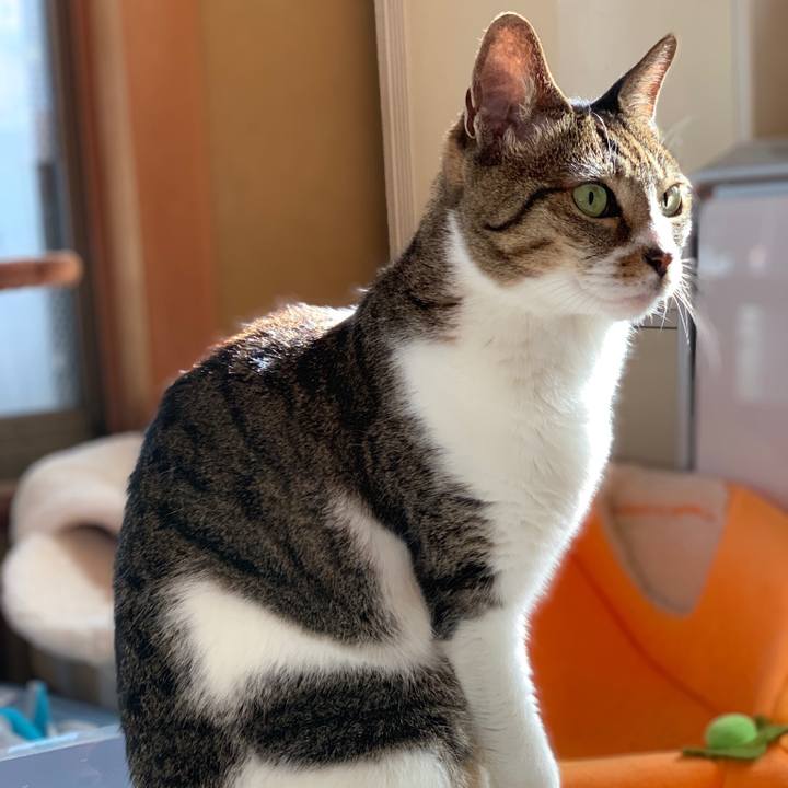 D2e1d641 0b91 4ca4 bad2 91ec82e07dbd 1552267101930