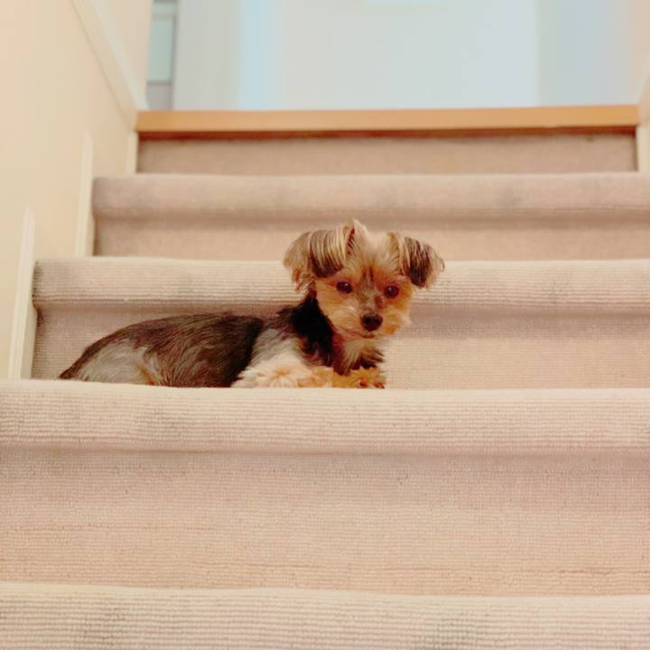 D2e1f13a 20dd 42c3 9368 0e9a6612bcab 1628290828951