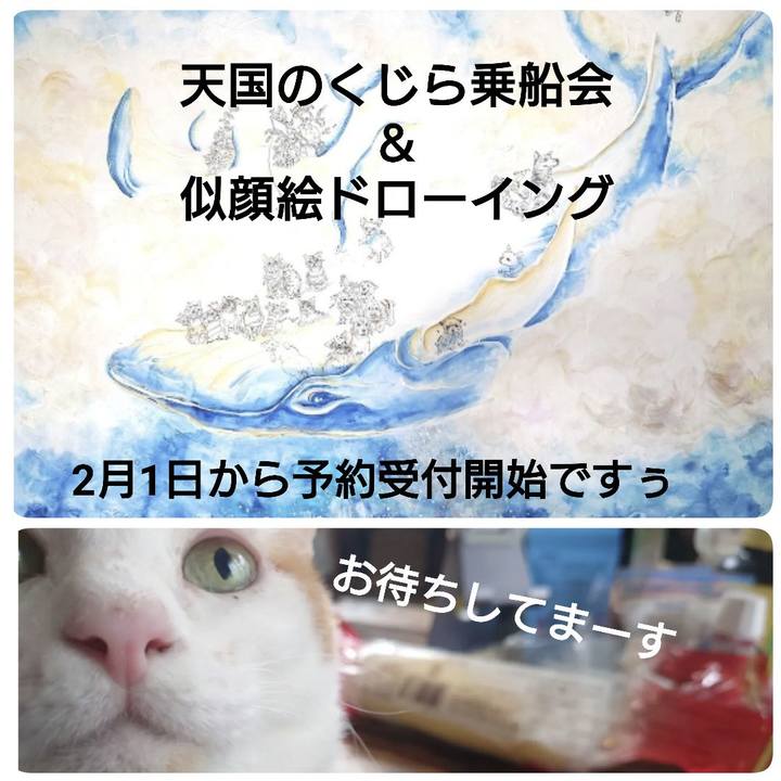 D2e1f8d0 7955 4b69 9811 a3f3ec4b9a5a 1643293328937