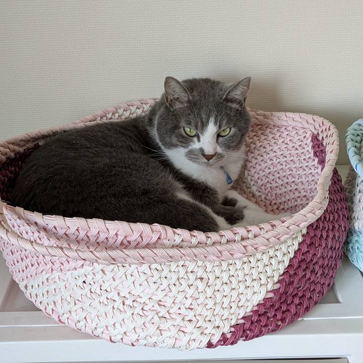 D2e2002d 62d2 460a b975 abfb79577bda 1751938710171