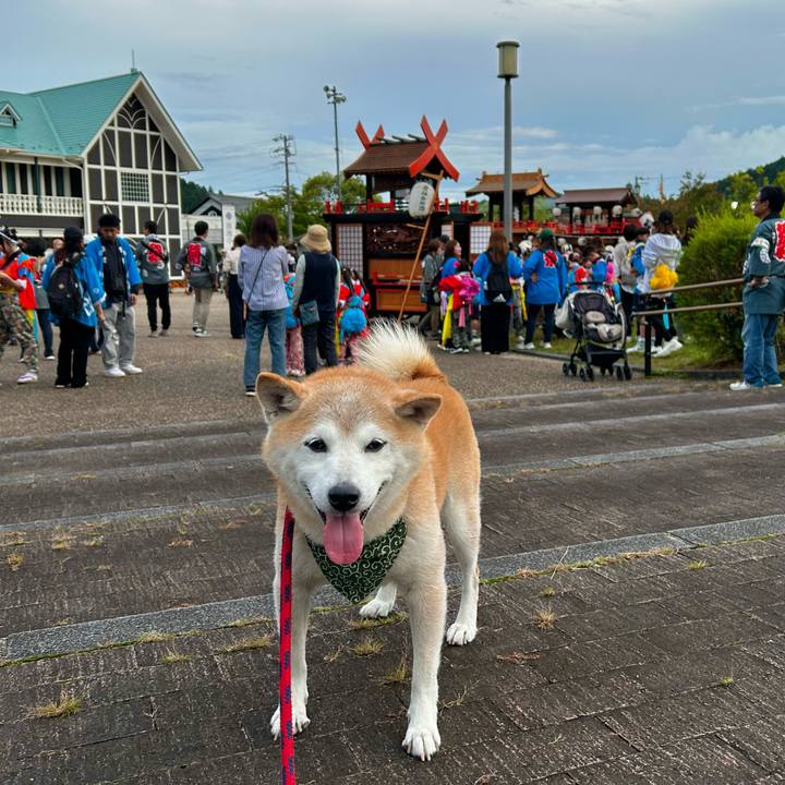 D2e20c2d 28fc 47b9 8f54 a24363a8cffa 1760267187732