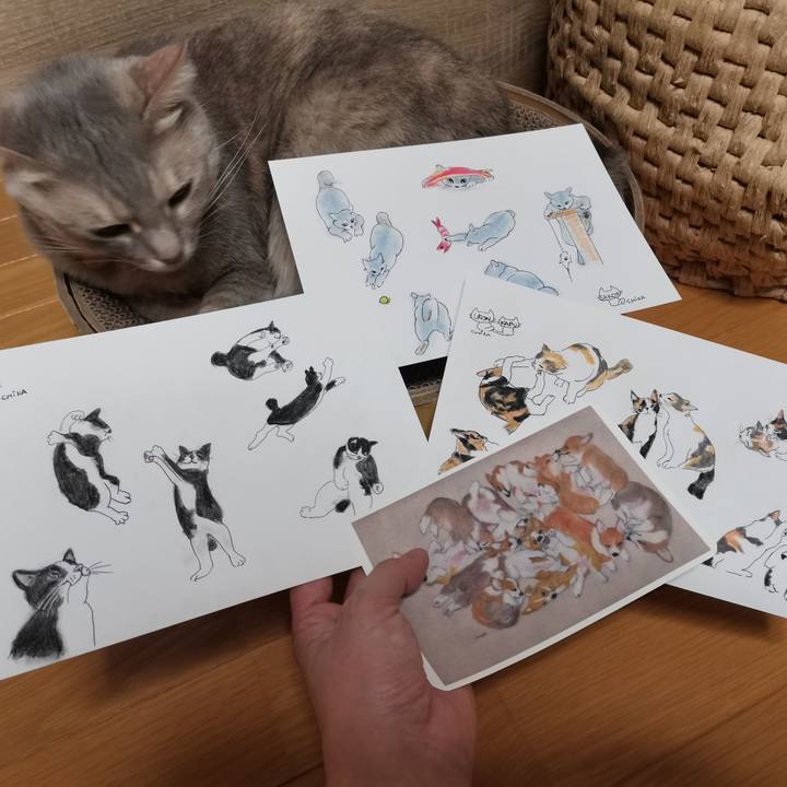 D2e2121c fa6c 4d61 b632 6fb96a7aa820 1614598052382