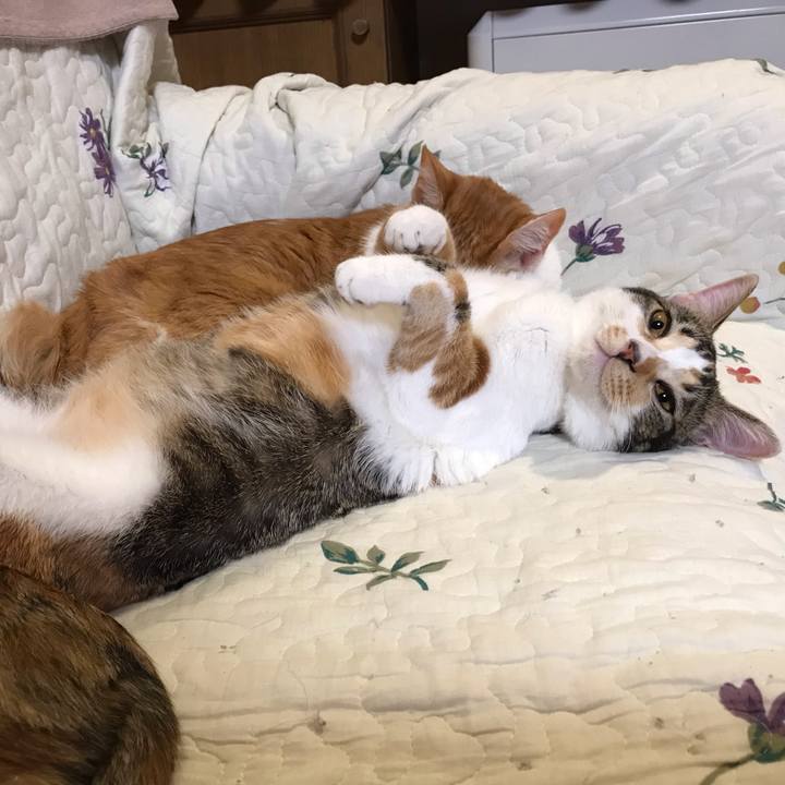 D2e227f5 4faf 45b2 9845 6cb9ca355613 1617965976735