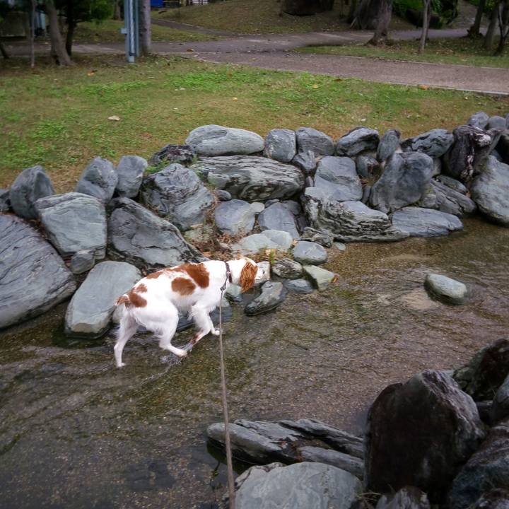 D2e230cb 5650 45f0 8e94 bdb01e0f7e5e 1508403535484