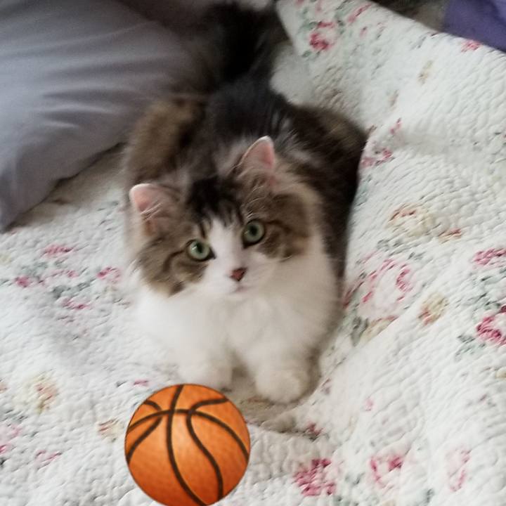 D2e243a2 312b 4a5b b447 6bf0b8778e60 1560460726255