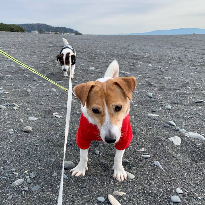 D2e255c9 fd57 4c07 b1a3 cebc736ba8d0 1610331073361