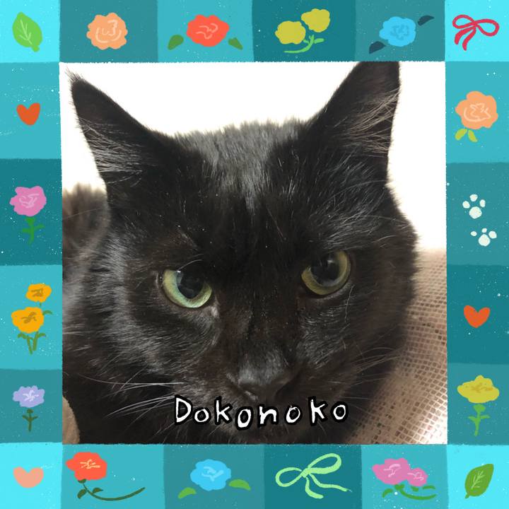 D2e26a57 10d0 4db7 8485 e518861c6b18 1715071560235