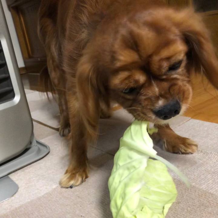 D2e2a79d 779e 483b 9a26 5e924c6d723d 1546898984534