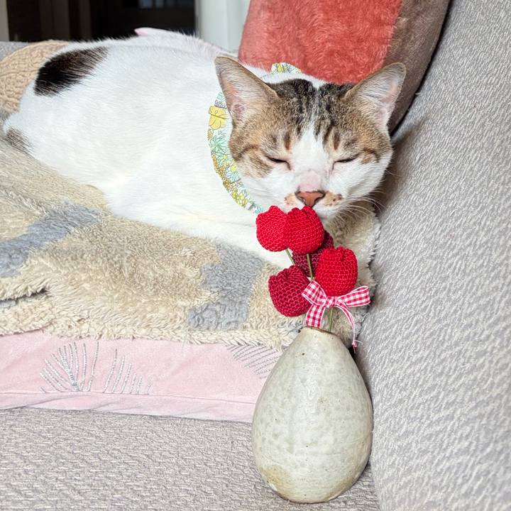 D2e2d2cc a83e 430e a007 28e7f1e6214e 1774677456493