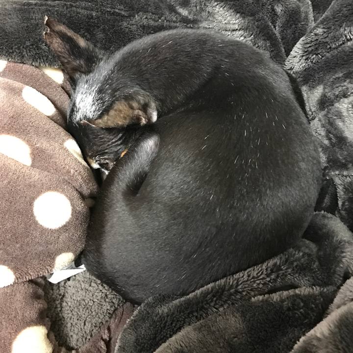 D2e2d50e 9e40 48a6 bd69 862ddb935390 1509280432337