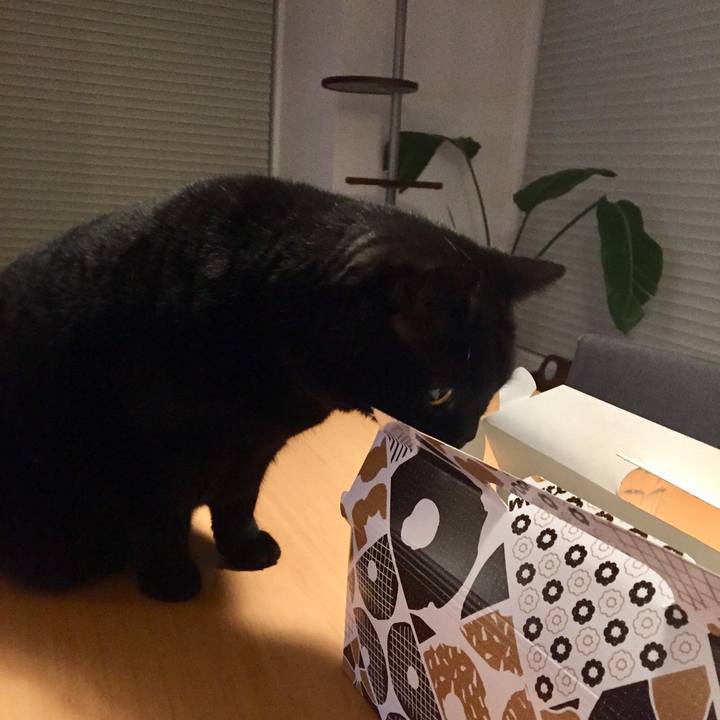 D2e2e09a 3c3e 46e0 bf6d e00a559c741b 1580296298968