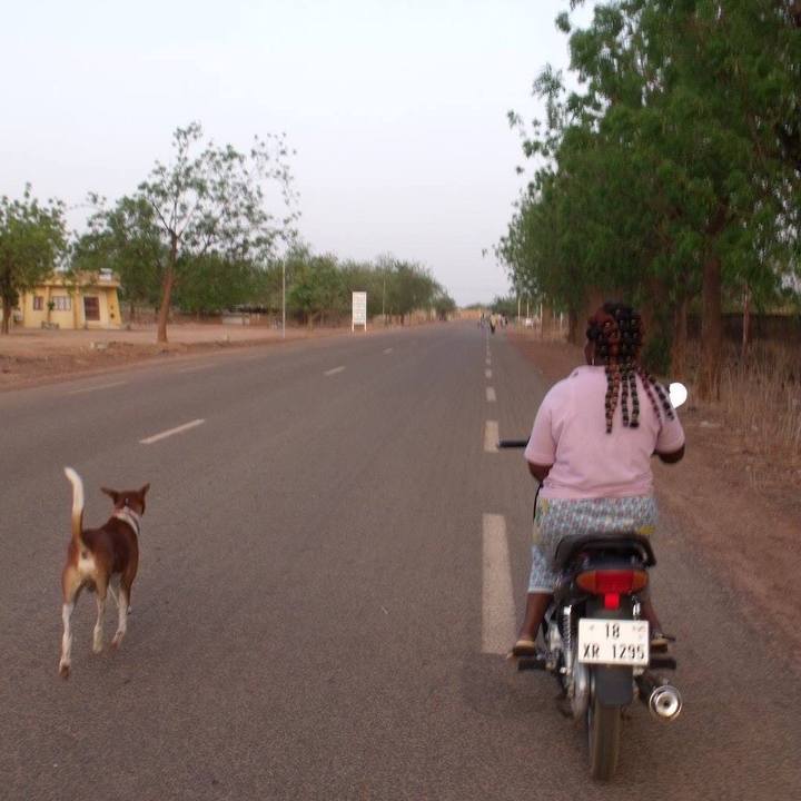 D2e30445 e443 4434 99f8 8702fccafd16 1516449081135