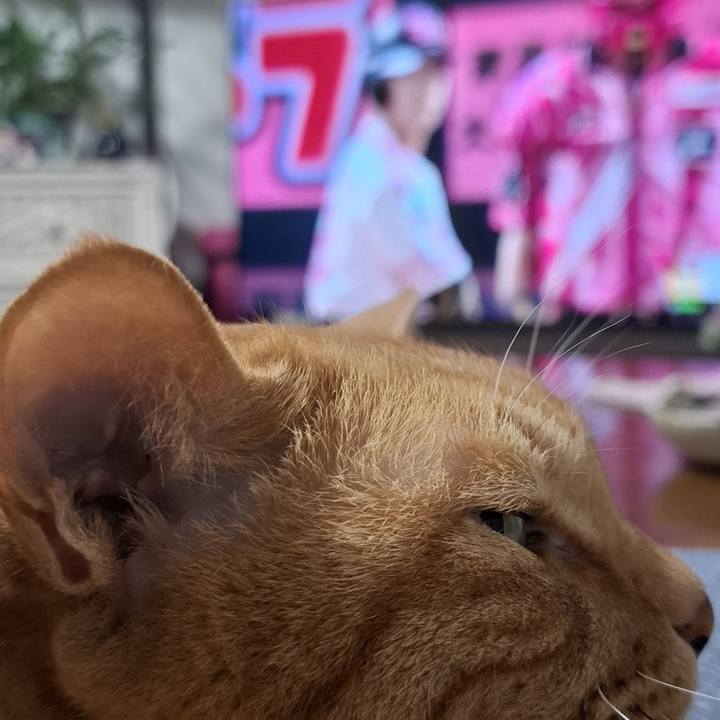 D2e32b26 1e0a 44d6 89fb 0b36758cb680 1747482982573