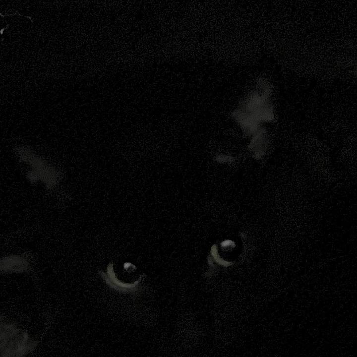 D2e34b92 f54a 4bc3 bbf7 a1d80dbf9fbe 1641297098187