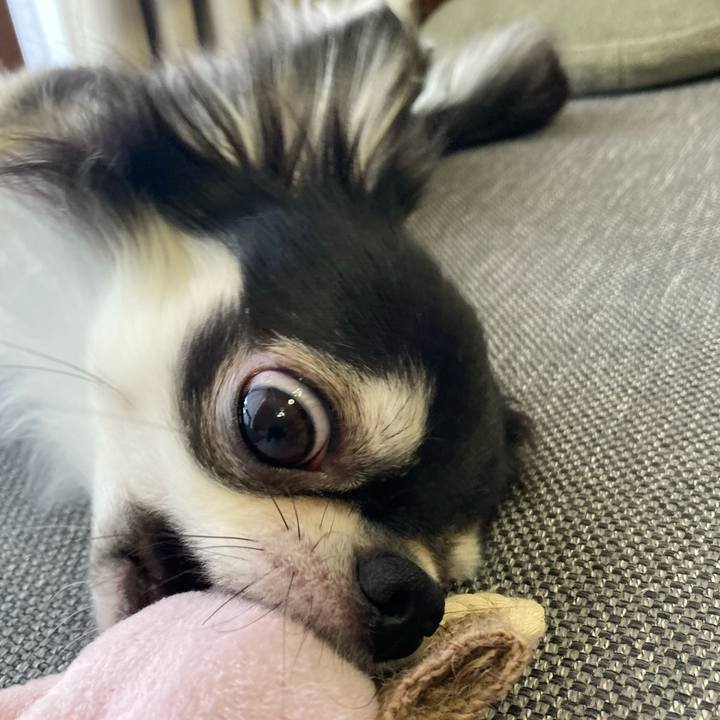 D2e35729 821e 44d3 9957 525fe76397c5 1633182924147