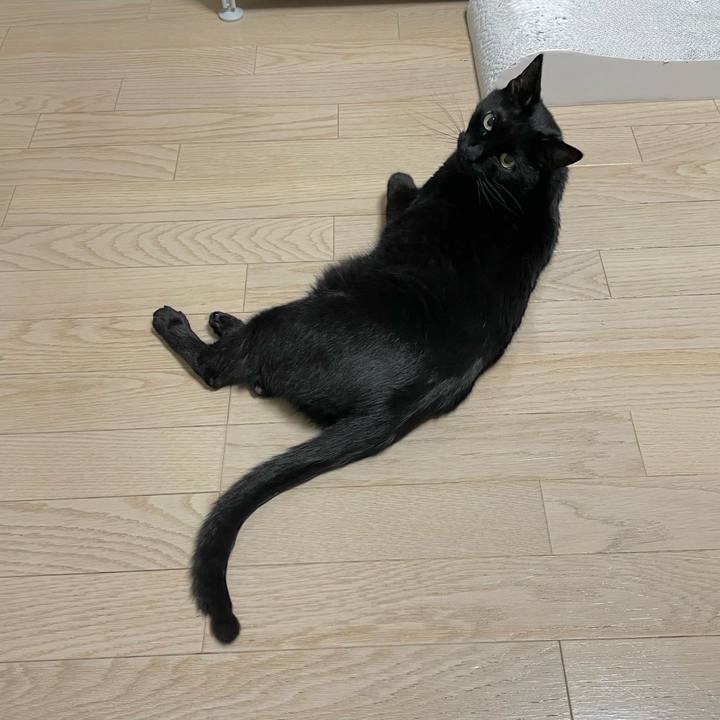 D2e38196 1dd5 4f3a 8171 126e874b7141 1651150219735