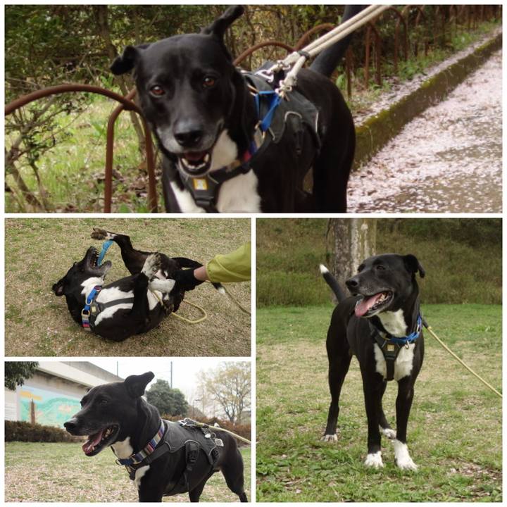 D2e38376 7b0e 4755 a412 269fc52ddc7c 1649206524427