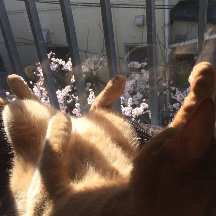 D2e38b8d b96b 48d6 85e8 1b1d3392a4ca 1582417381150