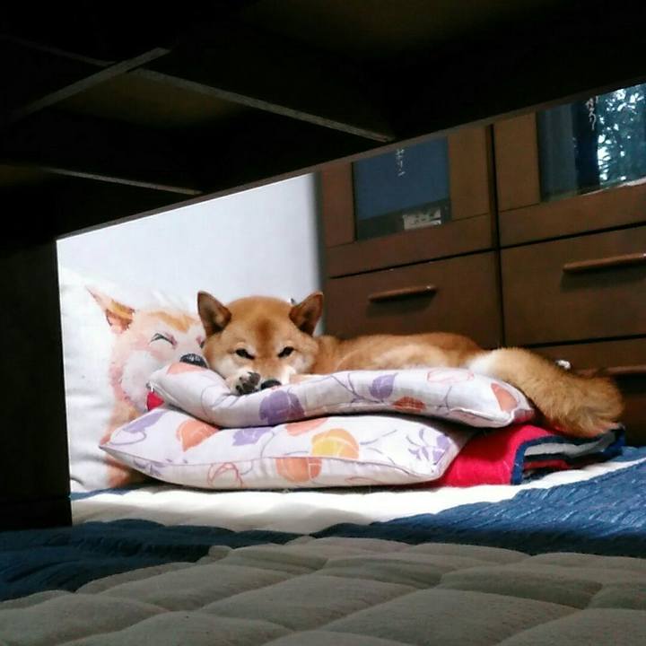 D2e3b413 8274 46b0 b4f7 6f02644a62cf 1563253135126