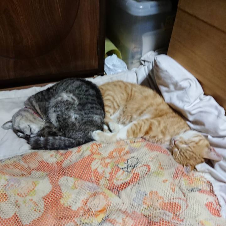 D2e3c695 069f 4138 9924 28fa9134c64a 1591537041295