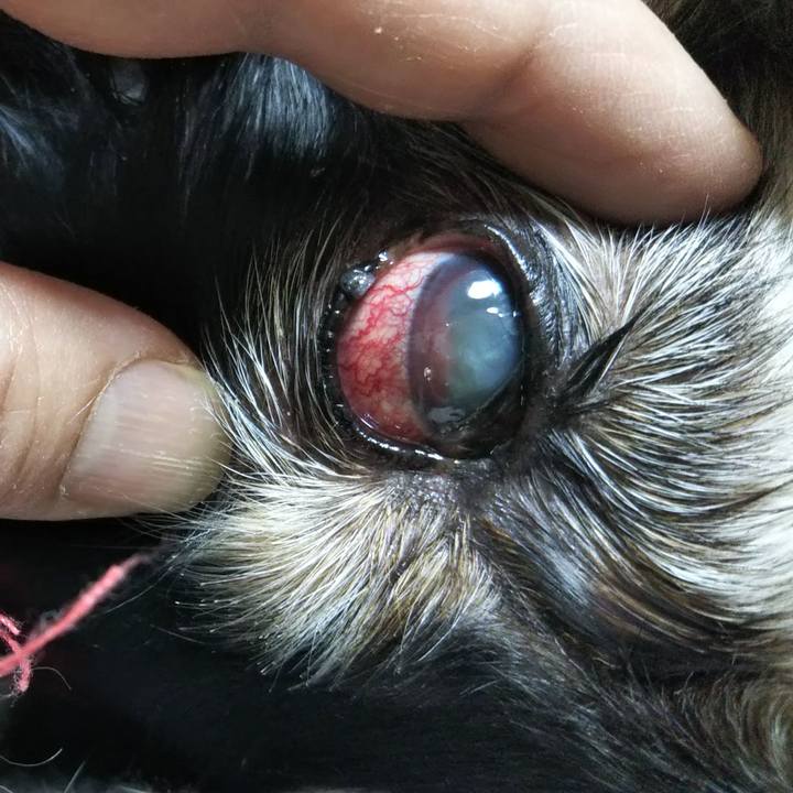 D2e3e9e3 2810 441d a1fa 9b96fdc295c7 1648342233584