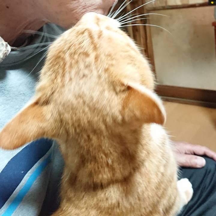 D2e40a4e 4e6f 479a a177 2b5deef0ce6a 1605038111267