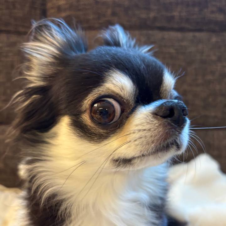 D2e4112c dd86 45ad ae32 bdacae04e7d6 1732919842201