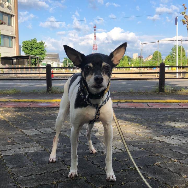 D2e44b8e 8f74 4a6a ae3a 1326e4593587 1525399260735