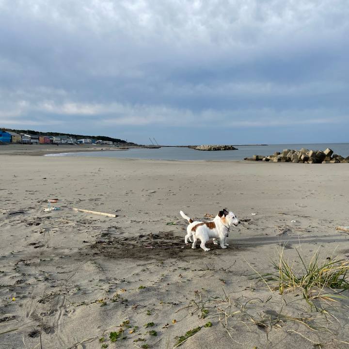 D2e4538f da11 4c55 8a5d 575a89dc93e6 1668902251718