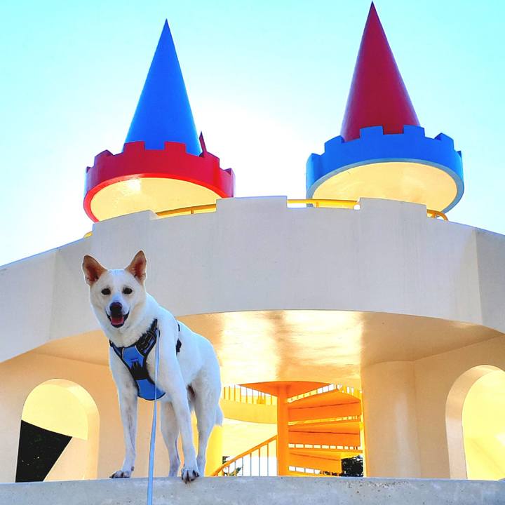 D2e469db bc09 4d0f be92 e15f887b5bd7 1636258706013