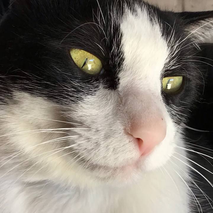 D2e46ade 251f 4bf6 a138 9d3341bf1b92 1715933979355