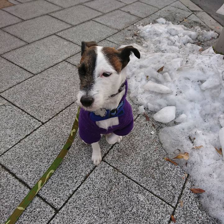 D2e48da0 27ea 4849 8e35 42deb52336ea 1517436852494