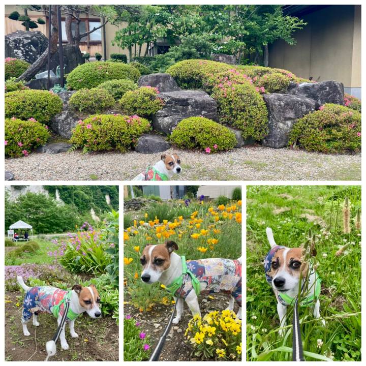 D2e48dee 6005 45c6 92d7 317a202c5687 1748762002040