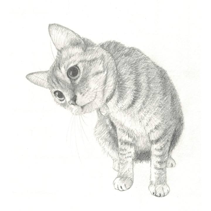 D2e493dd 5651 41eb a1b3 e792401b6175 1539520685057