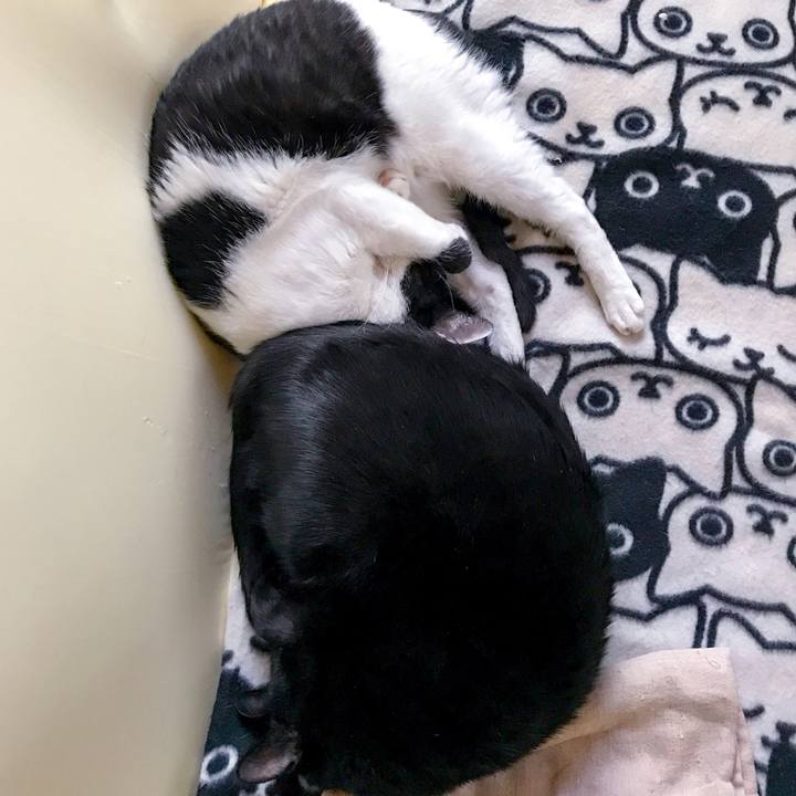 D2e4b1a6 07e2 4b22 a1fb a658e9ebee4c 1509499005473