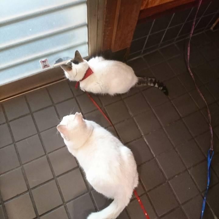 D2e4c8c5 410c 44f0 8751 7f60cb90763e 1536654439327