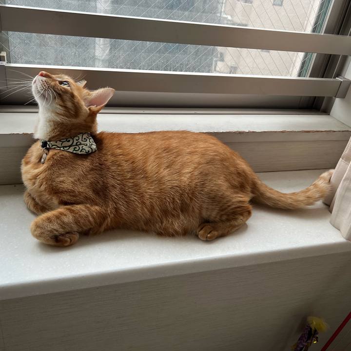 D2e4eda9 d83b 4942 a4ac 7fbf49fedd5f 1754953809801