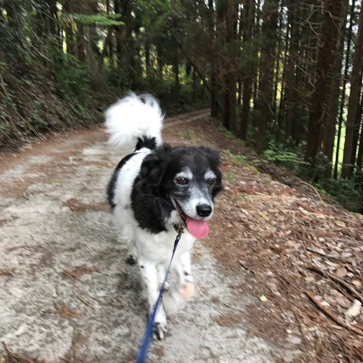 D2e50dfa 6a9b 4839 a764 3c84a7a74894 1524359983661