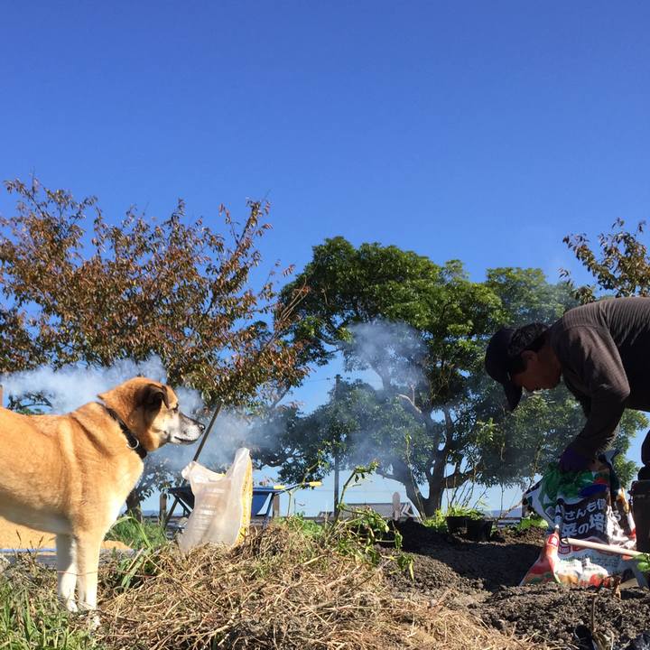 D2e54634 4092 4266 a713 3085c4d59a09 1509507703949